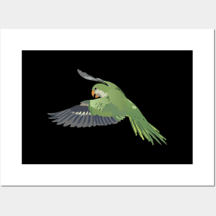 Monk Parakeet Parrot Posters and Art